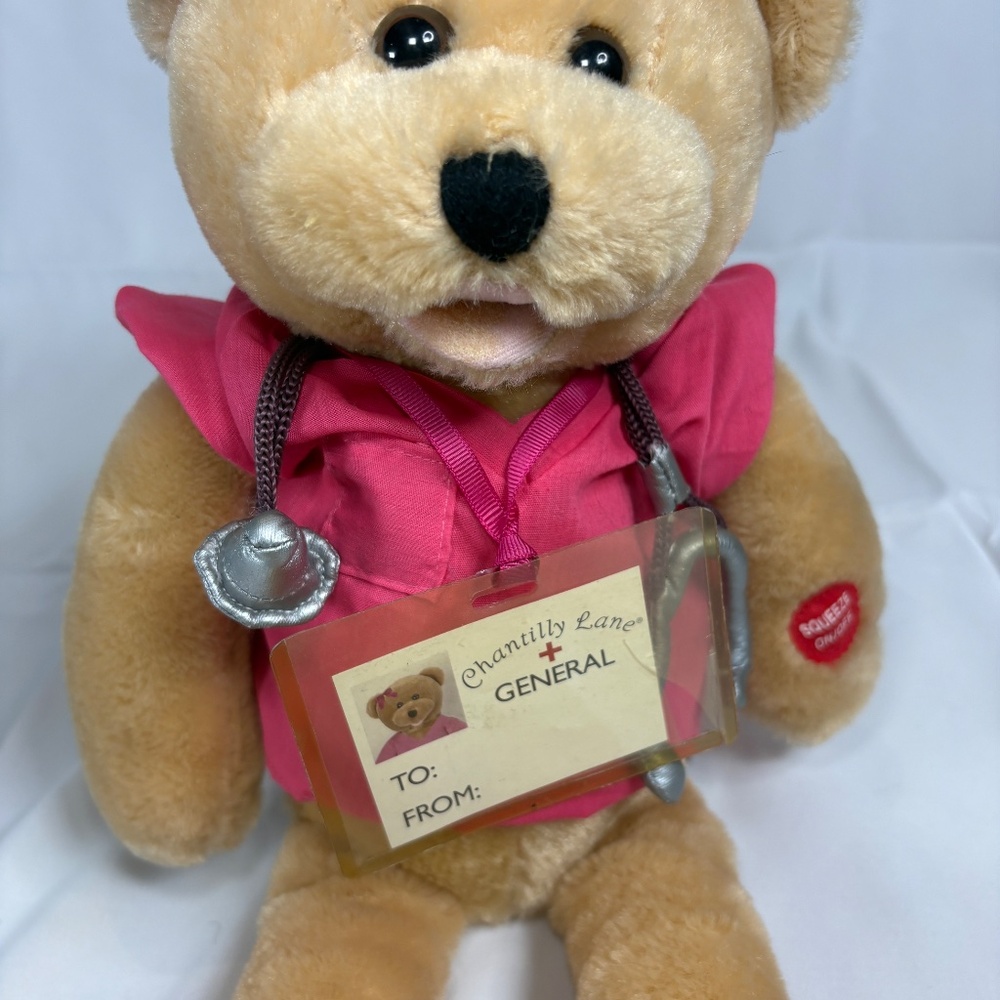Chantilly Lane Nurse Bear Sings Pink Scrubs Top/Badge/Stet 19" Moves NO Sound - Picture 12 of 14